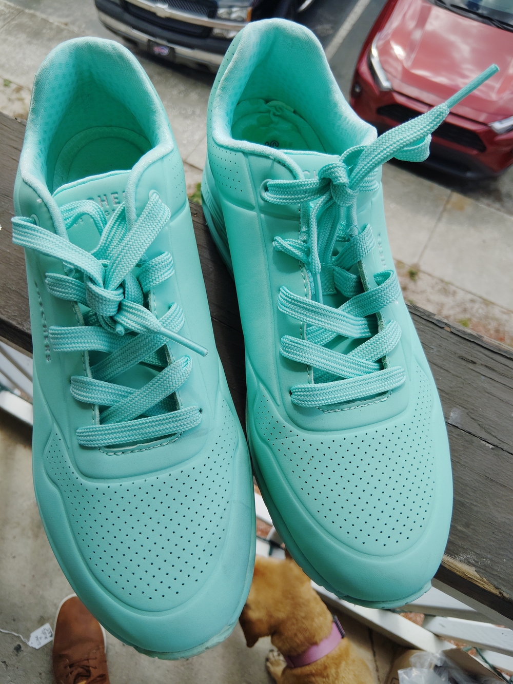 Skechers Women's Mint Green Lace-Up Sneakers In Box